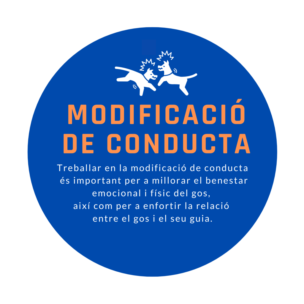 Modificació de conducta