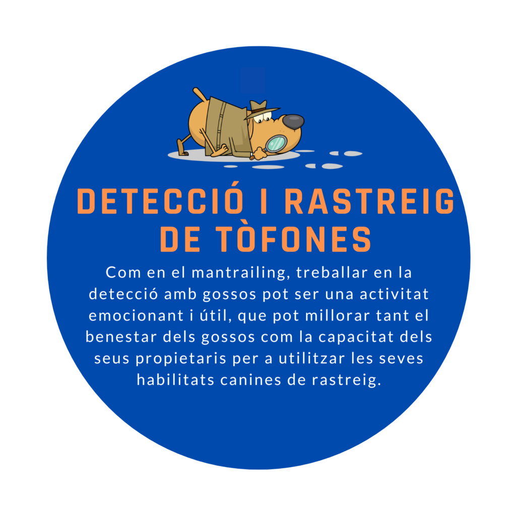 Detecció i rastreig de tòfones