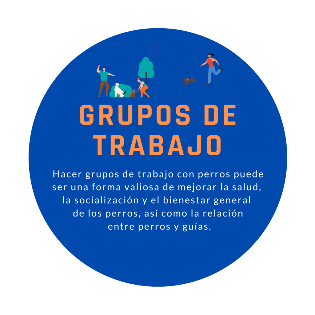 Grupos de trabajo