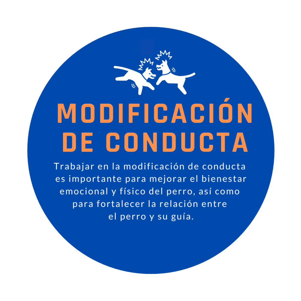 Modificación de conducta