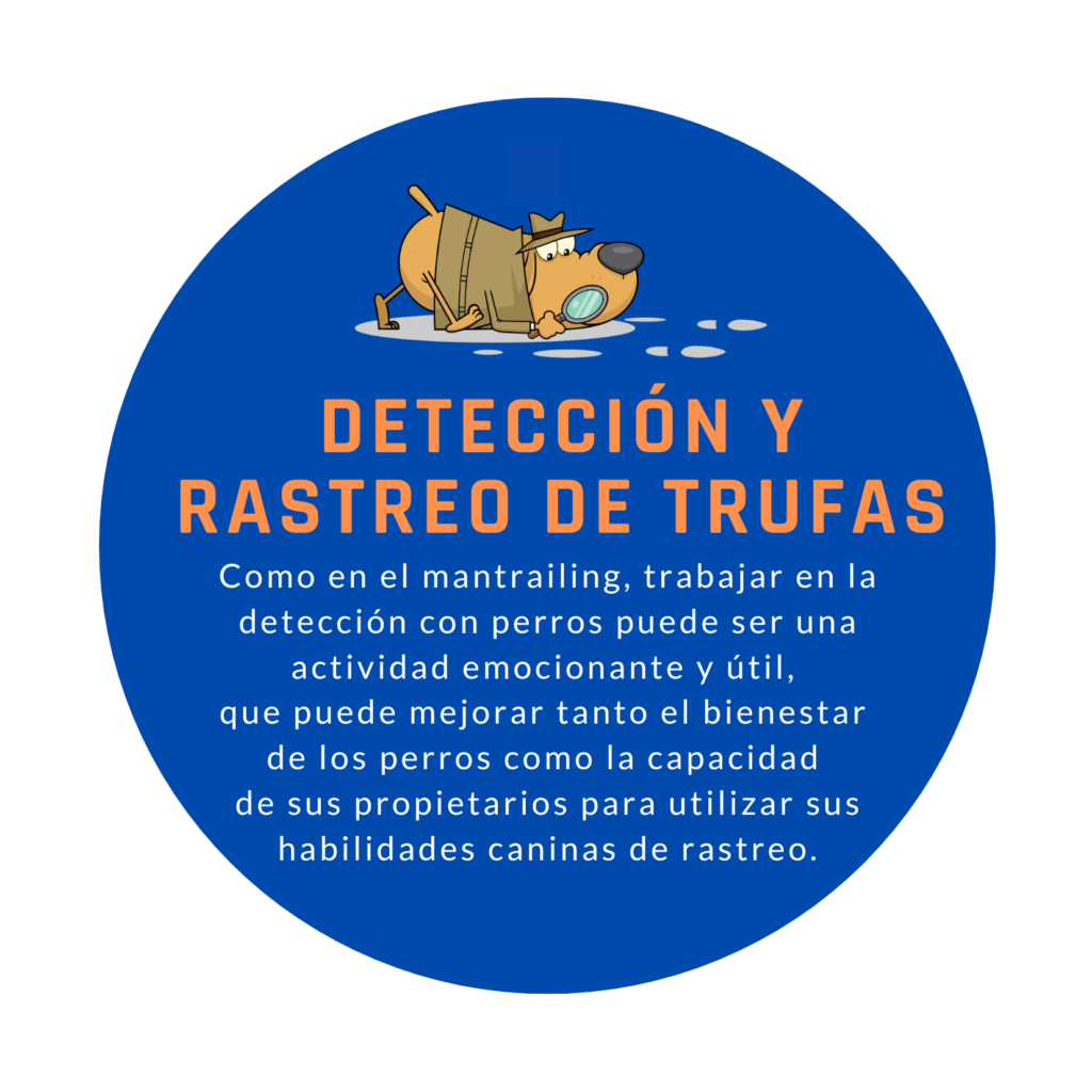 Detección y rastreo de trufas